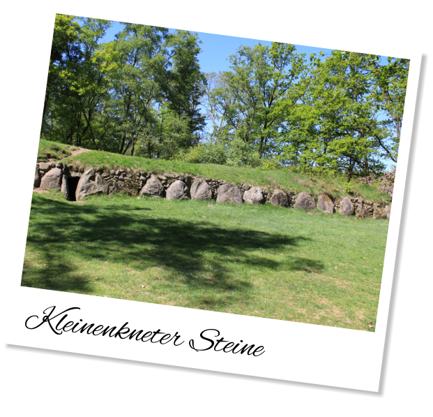 Kleinenkneter Steine