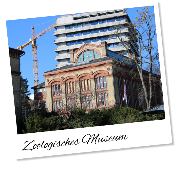 Zoologisches Museum